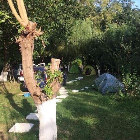 Camping In Clisura Dunarii Eselnita Ngoại thất bức ảnh