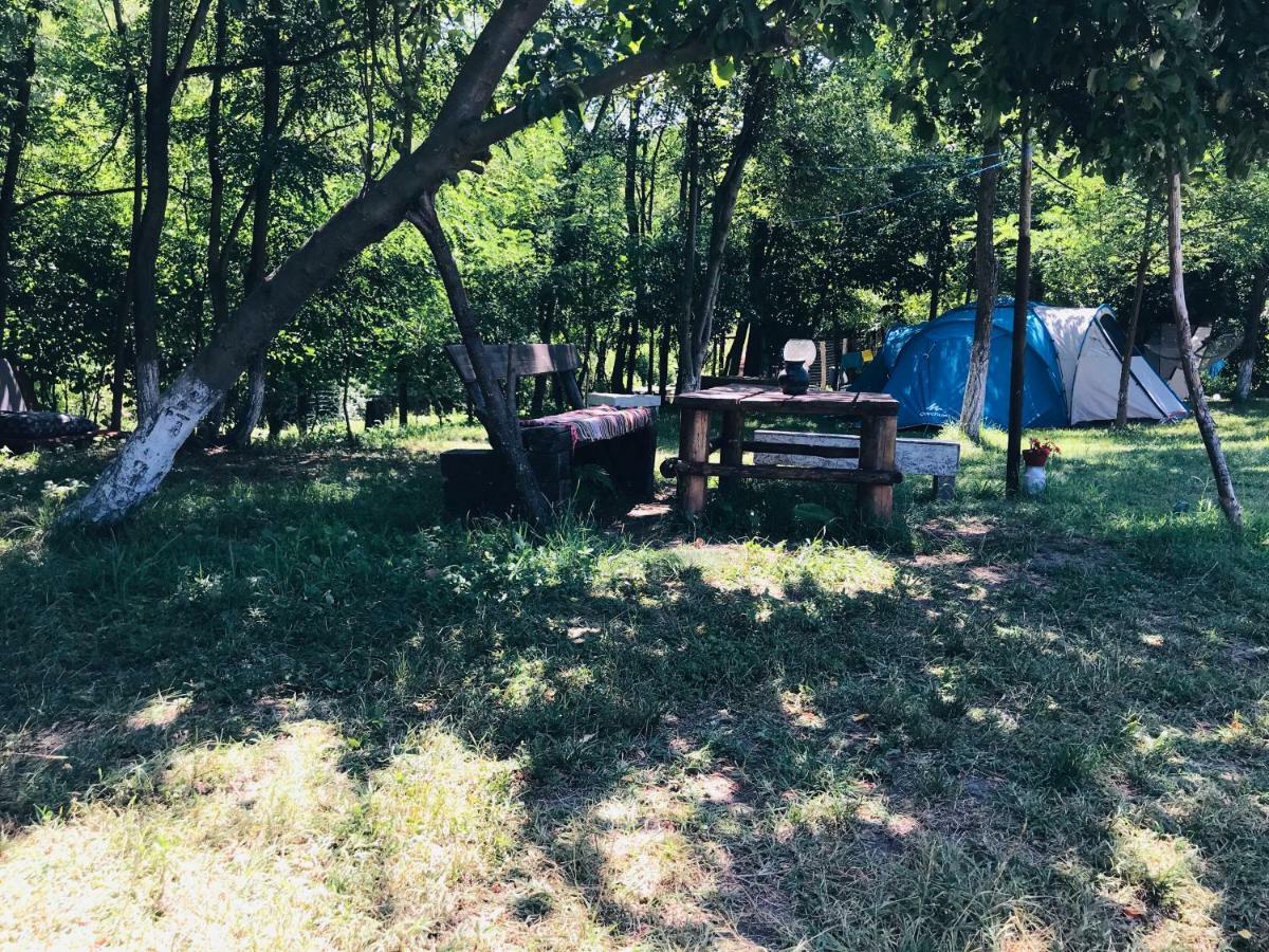 Camping In Clisura Dunarii Eselnita Ngoại thất bức ảnh